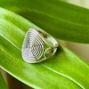 ANEL ESPIRAL EM PRATA 950/925 - Image 5